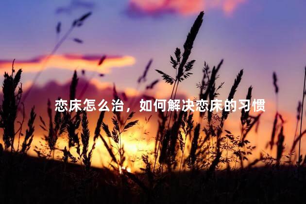 恋床怎么治，如何解决恋床的习惯