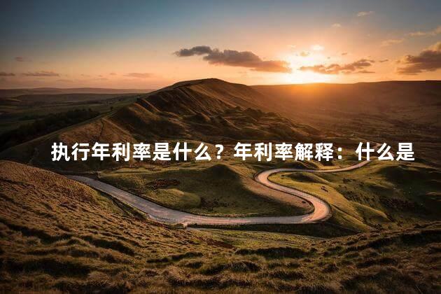 执行年利率是什么？年利率解释：什么是年利率？