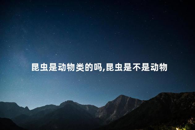 昆虫是动物类的吗