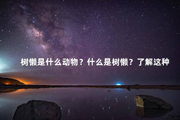 树懒是什么动物？什么是树懒？了解这种动物的特点和习性