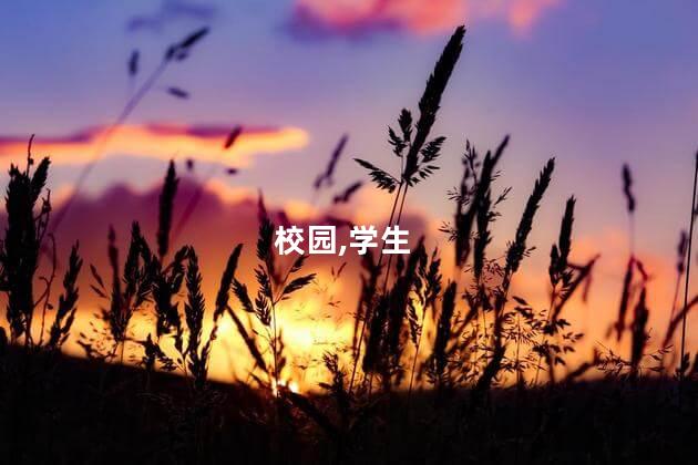 用静态和动态描写放学后的校园？校园放学后：静态与动态