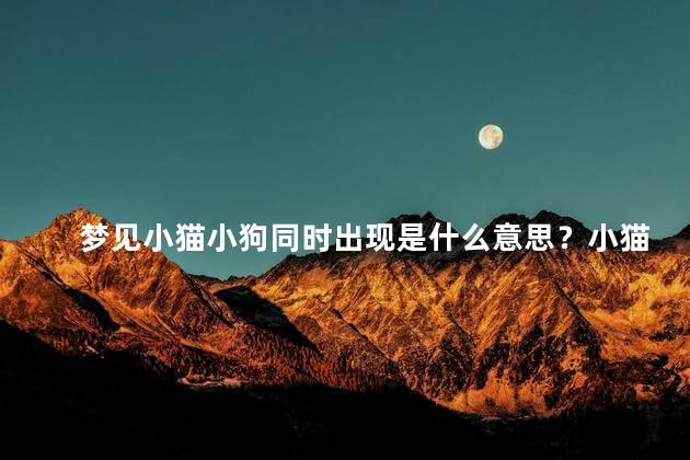 梦见小猫小狗同时出现是什么意思？小猫和小狗同时出现的梦境意义是什么？