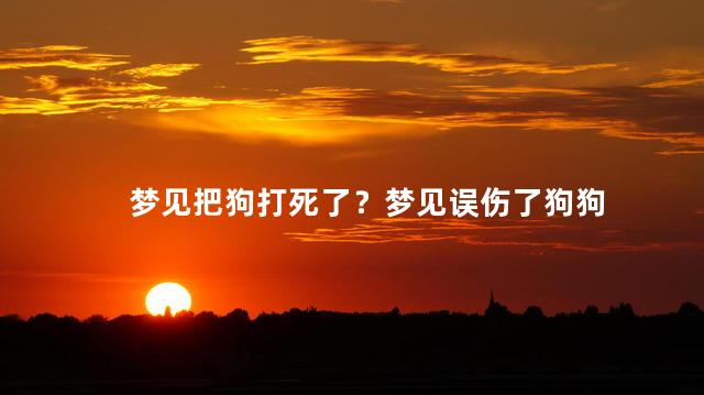 梦见把狗打死了？梦见误伤了狗狗