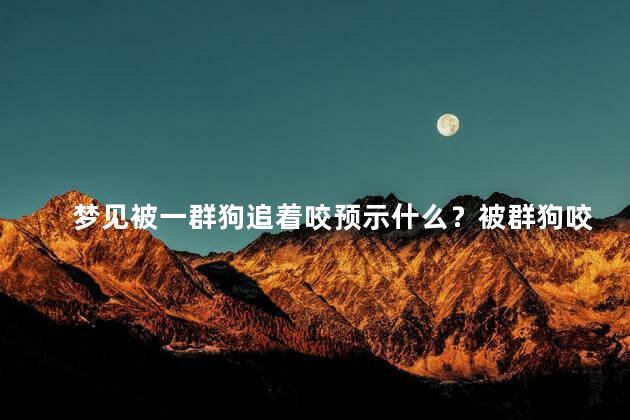 梦见被一群狗追着咬预示什么？被群狗咬追梦预示什么