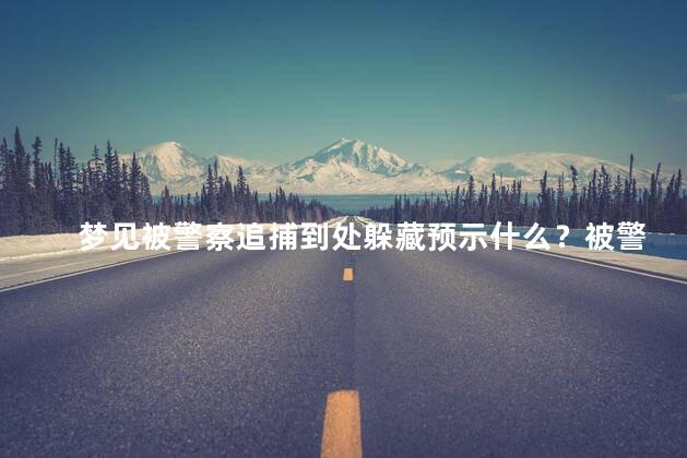 梦见被警察追捕到处躲藏预示什么？被警察追捕躲藏梦的寓意