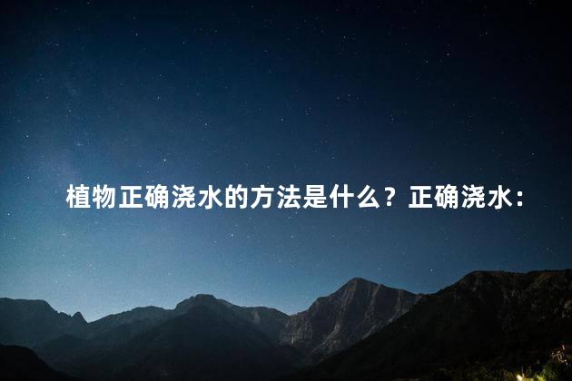 植物正确浇水的方法是什么？正确浇水：如何给植物浇水，养活它们？