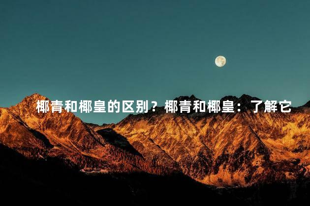 椰青和椰皇的区别？椰青和椰皇：了解它们的差异