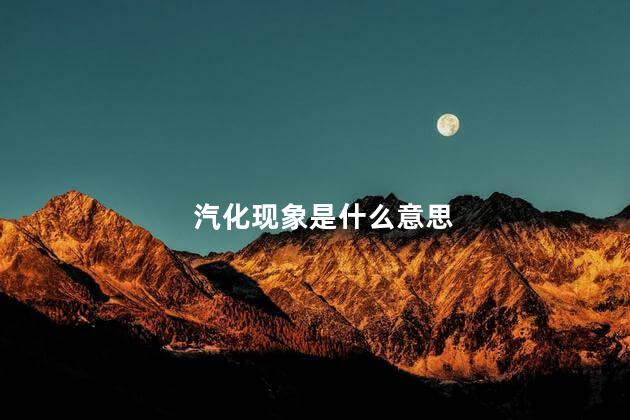 汽化现象是什么意思，什么叫汽化现象