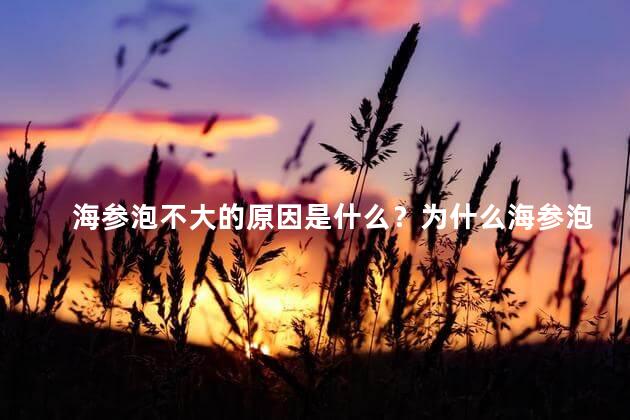 海参泡不大的原因是什么？为什么海参泡水后体积不大？