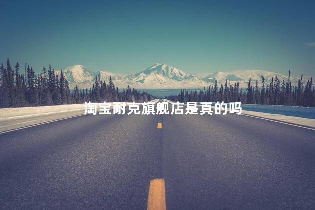 淘宝耐克旗舰店是真的吗