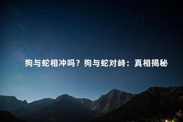 狗与蛇相冲吗？狗与蛇对峙：真相揭秘