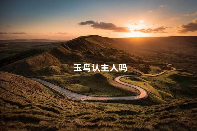 玉鸟认主人吗