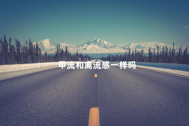 甲流和禽流感一样吗