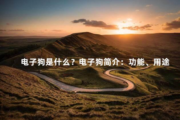 电子狗是什么？电子狗简介：功能、用途及工作原理
