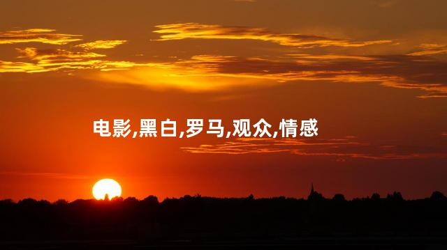 电影罗马为什么是黑白片？罗马：复古黑白魔力