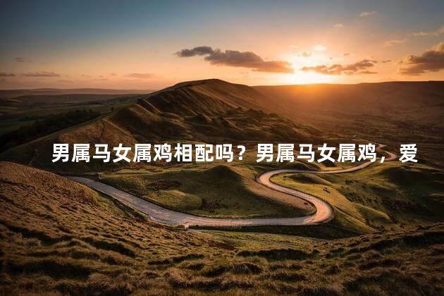 男属马女属鸡相配吗？男属马女属鸡，爱情迸发还是相克冲突？