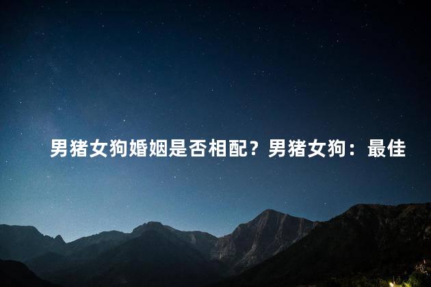 男猪女狗婚姻是否相配？男猪女狗：最佳组合还是奇葩婚配？
