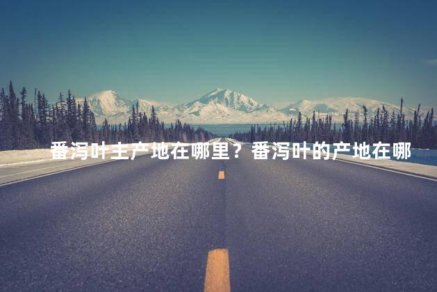 番泻叶主产地在哪里？番泻叶的产地在哪儿？