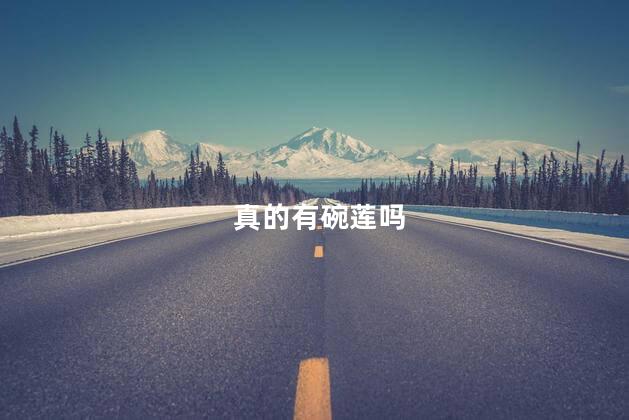 真的有碗莲吗