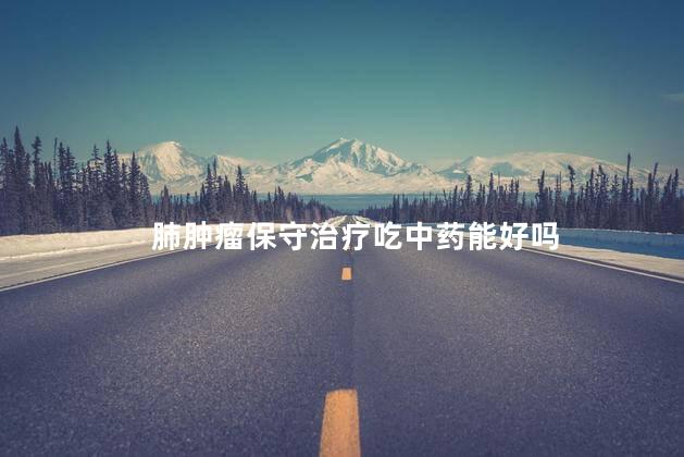 肺肿瘤保守治疗吃中药能好吗，中医治疗肿瘤真的有用吗
