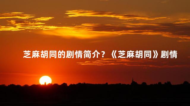 芝麻胡同的剧情简介？《芝麻胡同》剧情概述