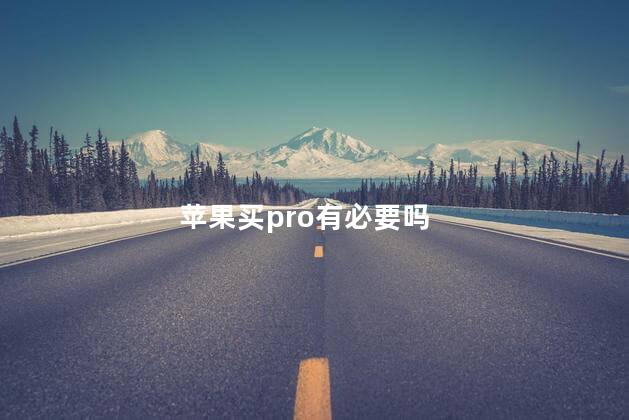 苹果买pro有必要吗