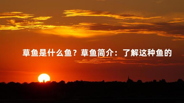 草鱼是什么鱼？草鱼简介：了解这种鱼的特点和来源