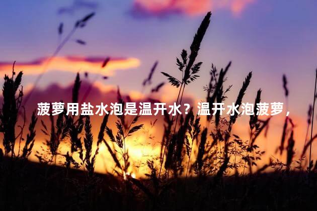 菠萝用盐水泡是温开水？温开水泡菠萝，加点盐水有助提味