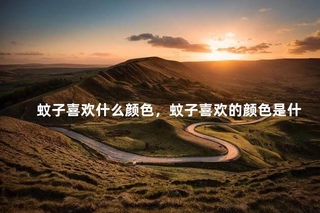 蚊子喜欢什么颜色，蚊子喜欢的颜色是什么
