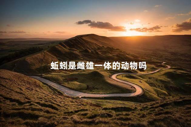 蚯蚓是雌雄一体的动物吗