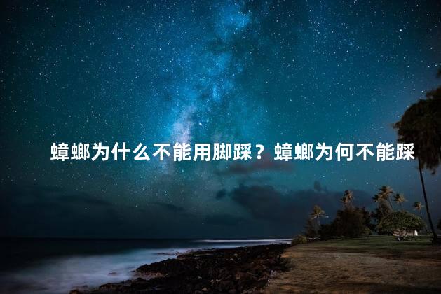 蟑螂为什么不能用脚踩？蟑螂为何不能踩？