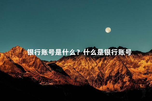 银行账号是什么？什么是银行账号