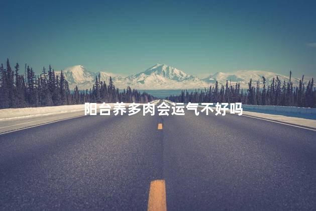 阳台养多肉会运气不好吗
