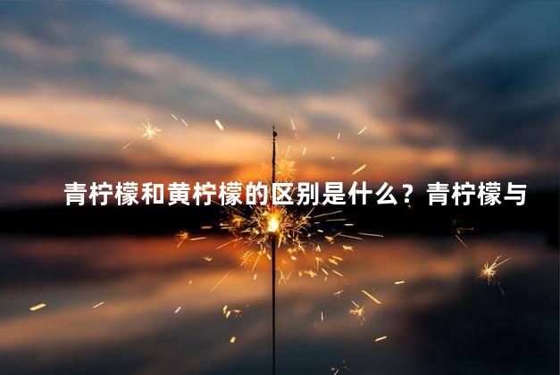 青柠檬和黄柠檬的区别是什么？青柠檬与黄柠檬的区别是什么