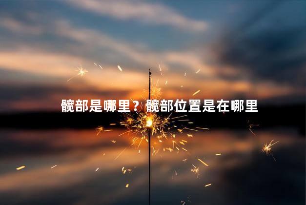 髋部是哪里？髋部位置是在哪里