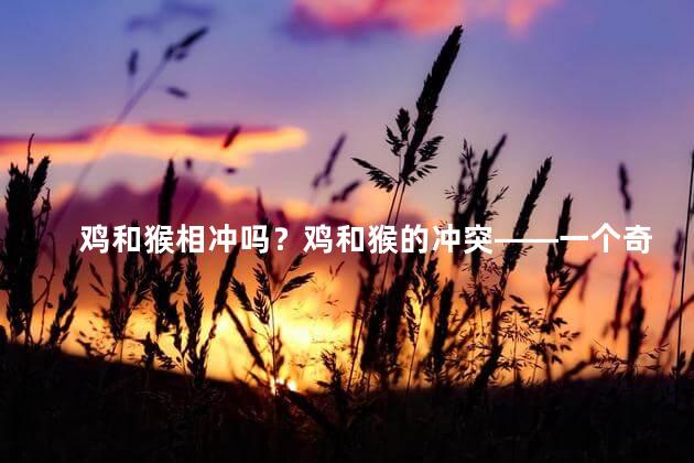鸡和猴相冲吗？鸡和猴的冲突——一个奇特的对决