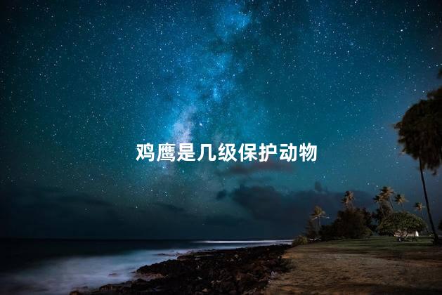 鸡鹰是几级保护动物