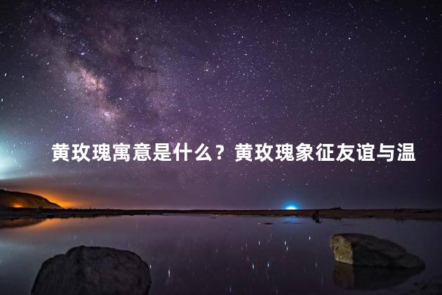 黄玫瑰寓意是什么？黄玫瑰象征友谊与温情