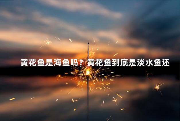 黄花鱼是海鱼吗？黄花鱼到底是淡水鱼还是海鱼？