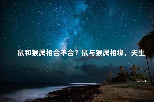 鼠和猴属相合不合？鼠与猴属相缘，天生一对
