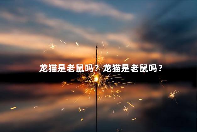 龙猫是老鼠吗？龙猫是老鼠吗？