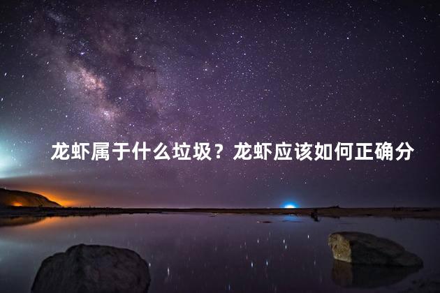 龙虾属于什么垃圾？龙虾应该如何正确分类垃圾